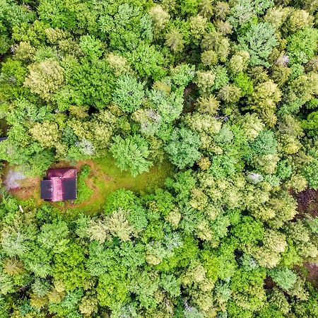 Lost Pond Cabin Schroon Lake المظهر الخارجي الصورة