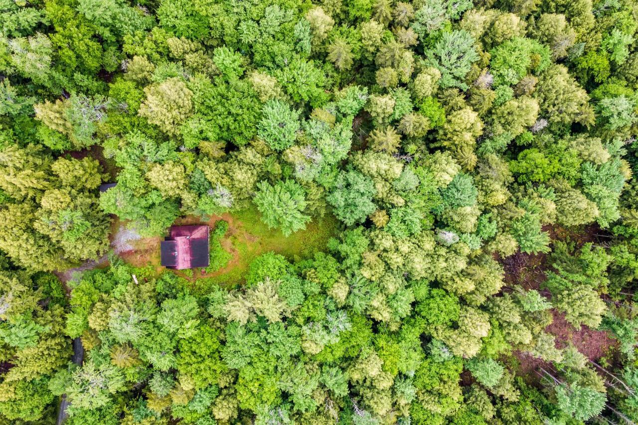 Lost Pond Cabin Schroon Lake المظهر الخارجي الصورة
